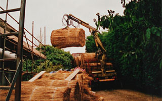 Devon Master Thatcher