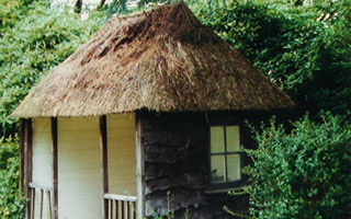 Thatching Devon