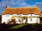 Commercial Thatcher Devon