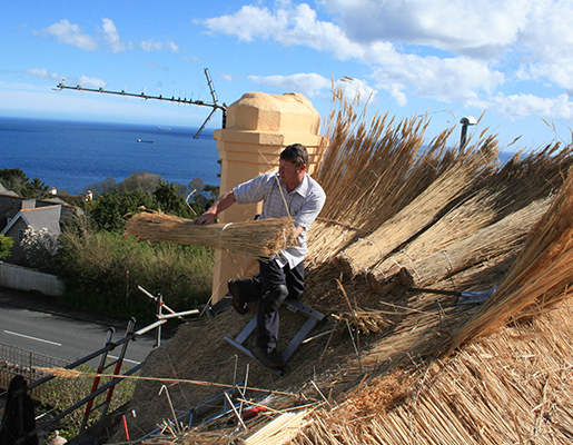 Thatched Roofing Devon