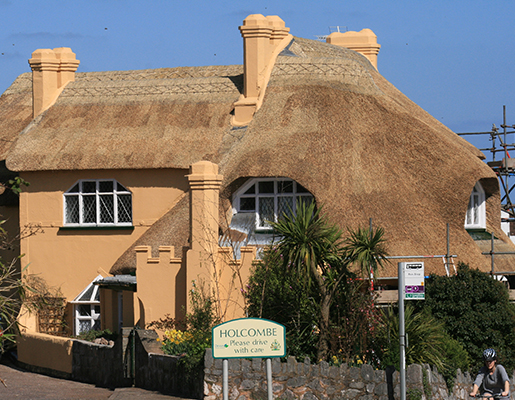 Thatching Company Devon