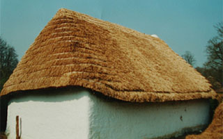 Devon Thatching Cullompton