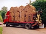 Devon Commercial Thatcher