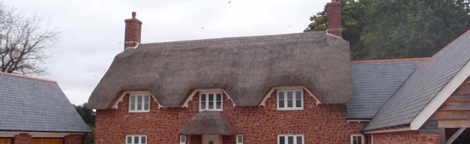 Roof Thatcher Wellington