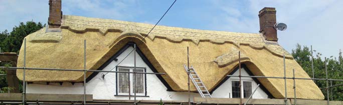 Roof Thatcher Chard