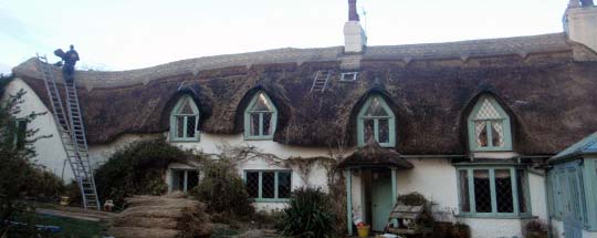 South Molton Straw Roofing