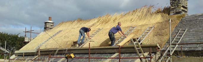Roof Thatcher Wellington