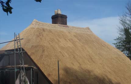 Roof Thatcher Wellington