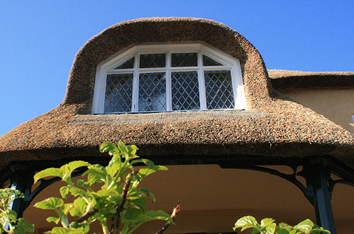 Thatching Devon