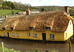 Thatching Devon