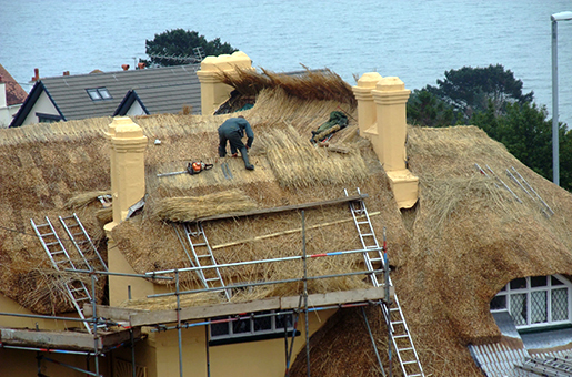 Thatched Roofing Devon