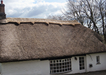 Thatch Roofer Devon